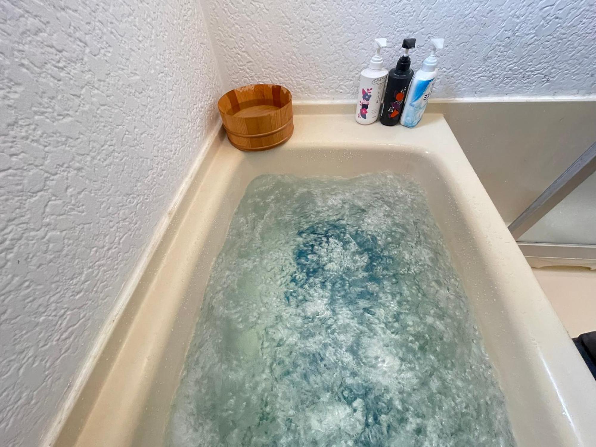 Azumino Relax Lodge المظهر الخارجي الصورة